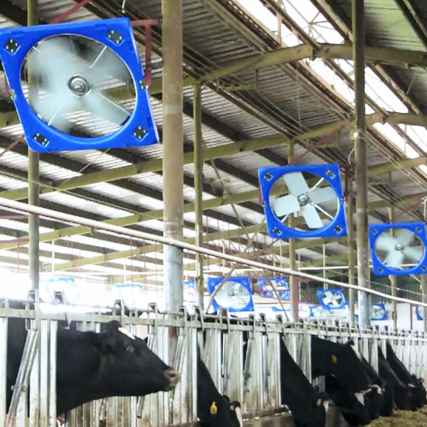 畜牧养殖风机