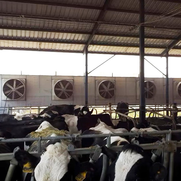 畜牧养殖风机(图1)