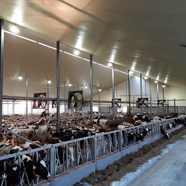 畜牧养殖风机(图1)